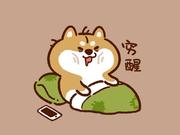 茅草棚鱼厌的个人资料头像