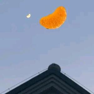 橘子🍊月亮🌙头像