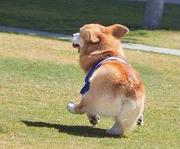 4396chan的个人资料头像