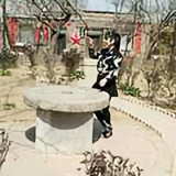 雪儿梦梦头像