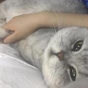 jerry_chenlu的个人资料头像