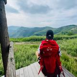 聪颖枫叶wK4头像