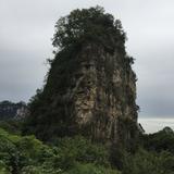 万合新乡小马头像
