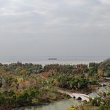 阿力123963头像