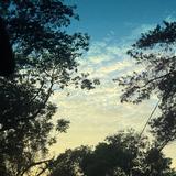 儒雅微风RWu头像