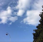 咬一口苹果的个人资料头像