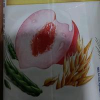 洒脱钢琴YMu头像