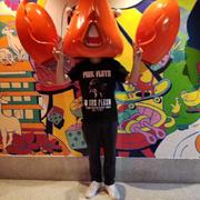 YaoChengjian的个人资料头像