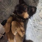 无敌谢美梦头像