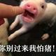 财富资源密码头像