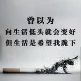 用户9955043110186头像