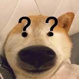 用户81930629317头像