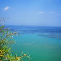 沂蒙商会联络人头像