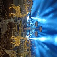 乐天派松鼠VRe头像