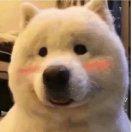 艾格尼丝的个人资料头像