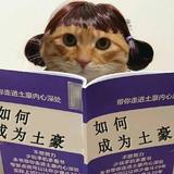 用户9125118199195头像