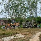 王汉思142头像