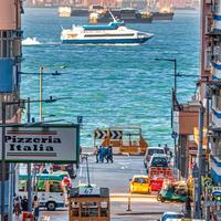 胖胖与狗子头像