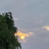 阅卷三千头像
