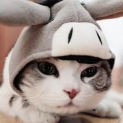 dying的个人资料头像