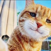 阿壮659的个人资料头像