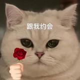 用户6146798105788头像