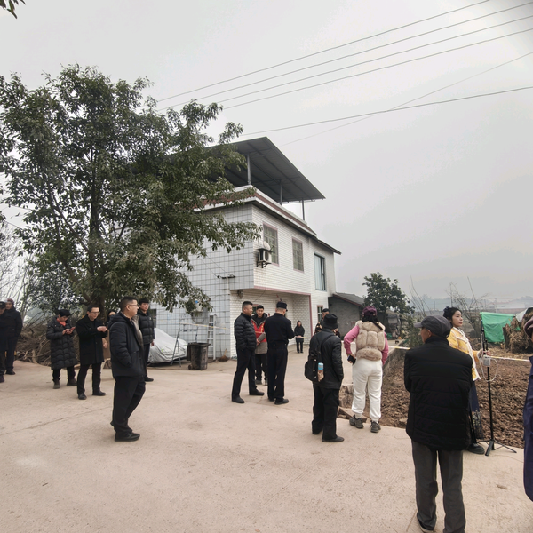 呆呆家现场头像