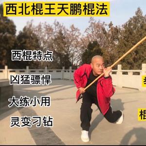 古典武艺西北棍法精髓头像