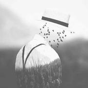 按键伤人的个人资料头像