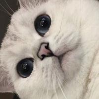 用户9971926621995头像