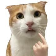 你是说我吗的个人资料头像