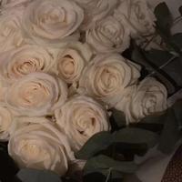 椰椰椰子大王头像