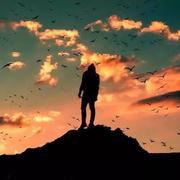 Fighting358的个人资料头像