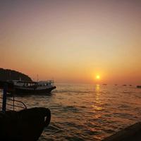 奋发科迪9y2头像