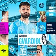 Gvardiol的个人资料头像
