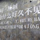 A情有独钟246头像