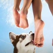 阿鹏896的个人资料头像
