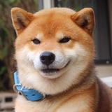 ke可瑞头像