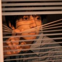 不吃鱼的猫85217头像