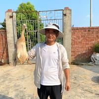 你们的王小帅头像