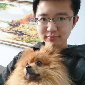 ytf933