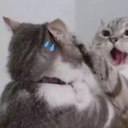 王广乐的个人资料头像