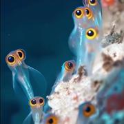 Viacheslav的个人资料头像