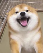 Javrong的个人资料头像