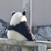 卡夫卡的熊的个人资料头像