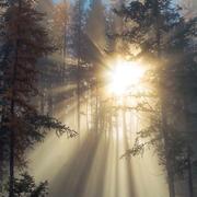 Forever476的个人资料头像