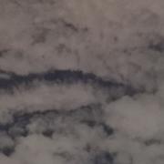 tingling同学的个人资料头像