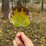 热闹河流0M2头像