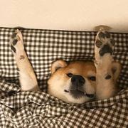 heiye9的个人资料头像