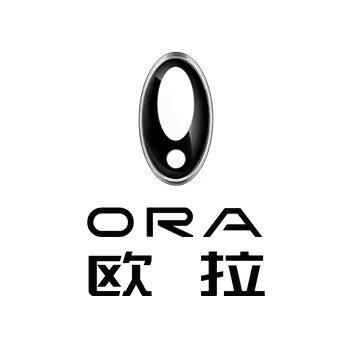 许昌圳泰欧拉ORA头像